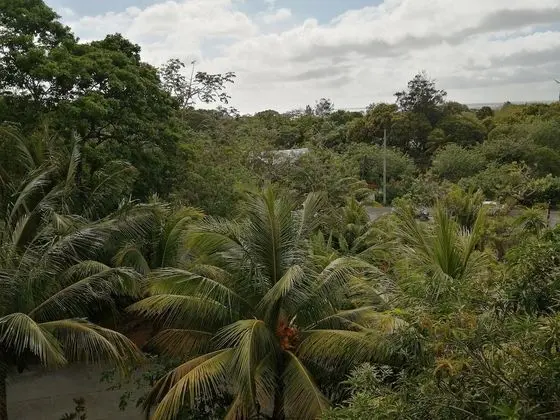 Studio,  1 Queen Bed, Kitchenette, SeaView
