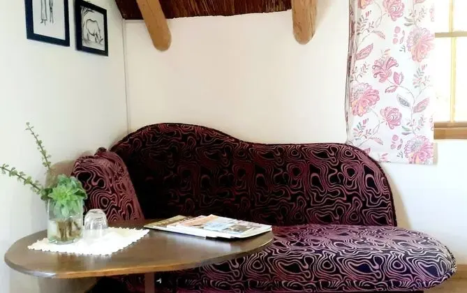 Exclusive Stüdyo