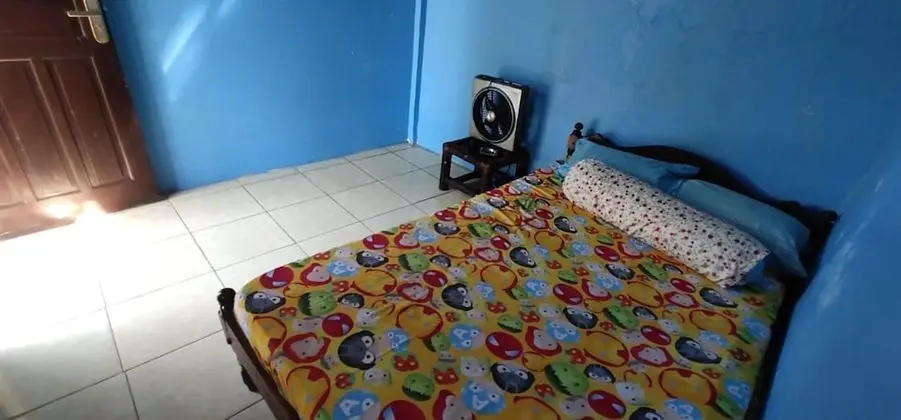 Standard Oda (Fan)