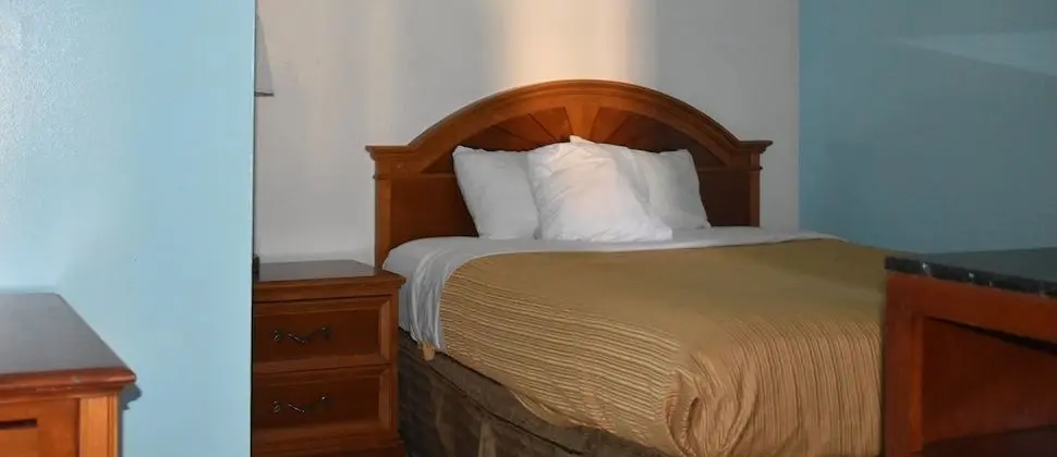 Standard Oda, 1 En Büyük (King) Boy Yatak, Buzdolabı ve Mikrodalga