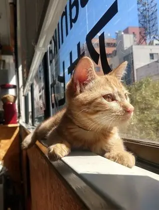 Standard Ortak Ranzalı Oda, Karma Ranzalı Oda, Ortak Banyo