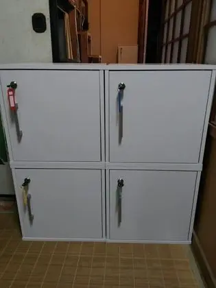 Ortak Ranzalı Oda, Karma Ranzalı Oda (Box Bed)