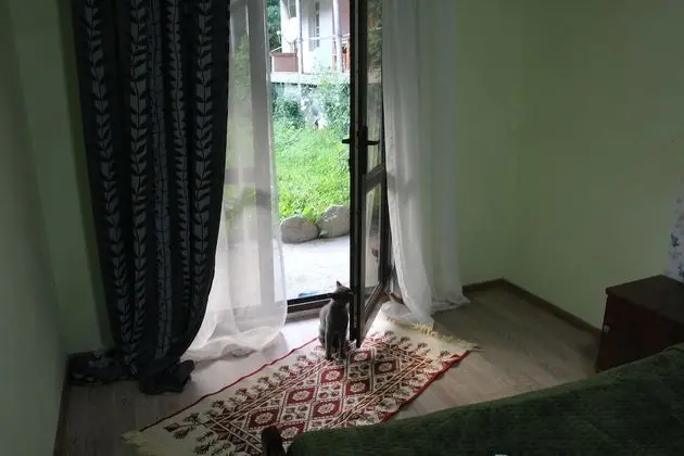 Deluxe Tek Büyük veya İki Ayrı Yataklı Oda, Birden Çok Yatak Odası, Dağ Manzaralı