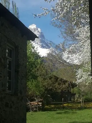 Luxury Dört Kişilik Oda
