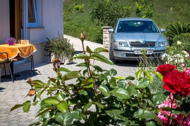 Basic Stüdyo Süit (1)