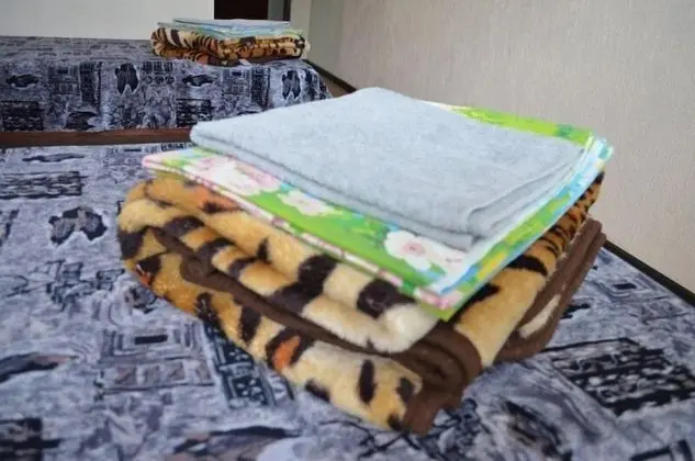 Economy Ortak Ranzalı Oda (2 beds)