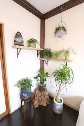 Ev (Private Vacation Home)