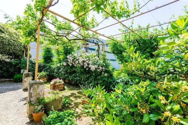 Apart Daire (Two Bedroom Apartment with Garden)