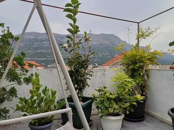 Üç Kişilik Oda (Comfort Triple Room)