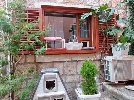 Üç Kişilik Oda (Triple Room)