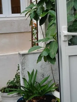 Üç Kişilik Oda (Triple Room)
