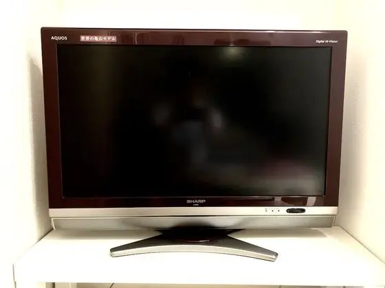 Televizyon