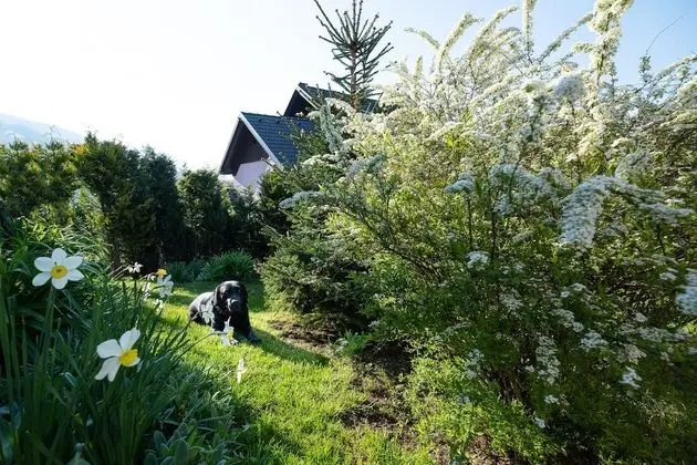 Family Apart Daire, Banyolu/Duşlu (Apartma)
