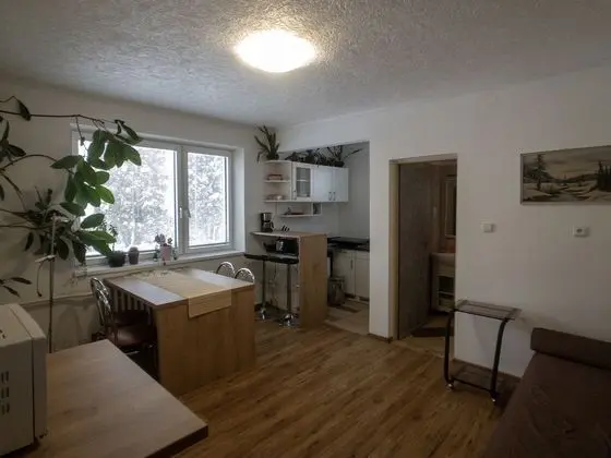 Apart Daire, Zemin Kat