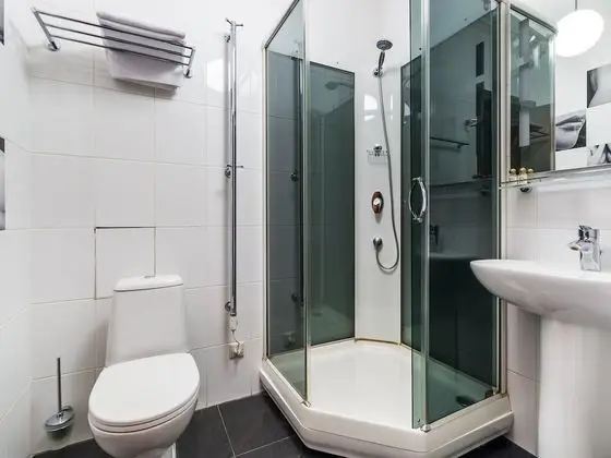 Standard Tek Büyük Yataklı Oda (Kupecheskiy)
