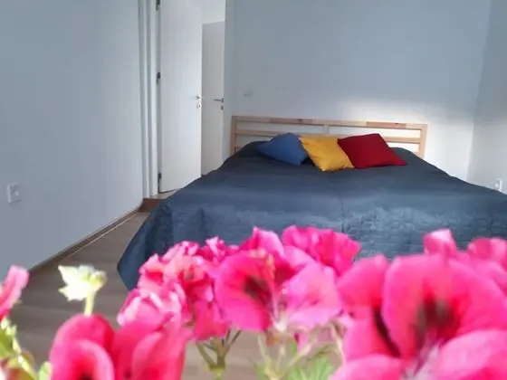 Tek Büyük Yataklı Oda, 1 Büyük (Queen) Boy Yatak, Şehir Manzaralı