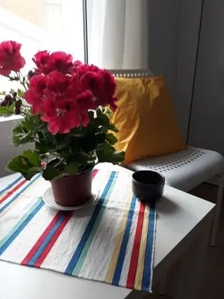 Tek Büyük Yataklı Oda, 1 Büyük (Queen) Boy Yatak, Şehir Manzaralı