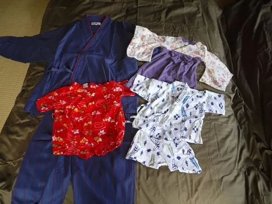 Traditional İki Ayrı Yataklı Oda, Bahçe Manzaralı (Japanese Style)