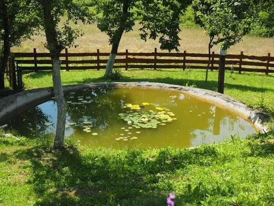 Economy Dört Kişilik Oda, 2 Yatak Odası (2)