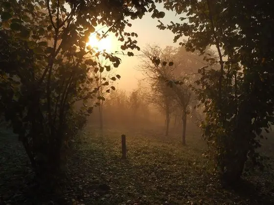 Exclusive Tek Büyük Yataklı Oda, 1 Büyük (Queen) Boy Yatak (7)