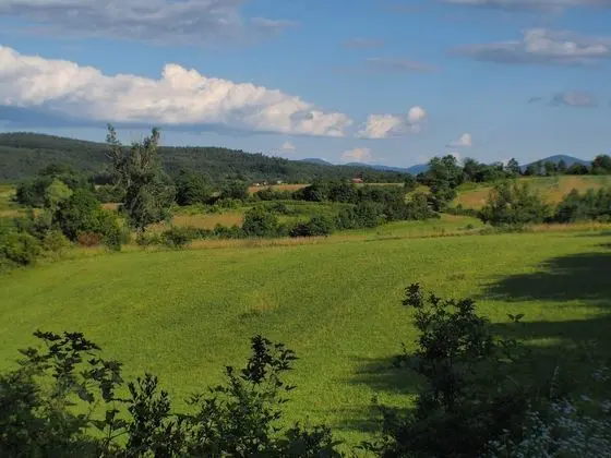 Exclusive Tek Büyük Yataklı Oda, 1 Büyük (Queen) Boy Yatak (7)