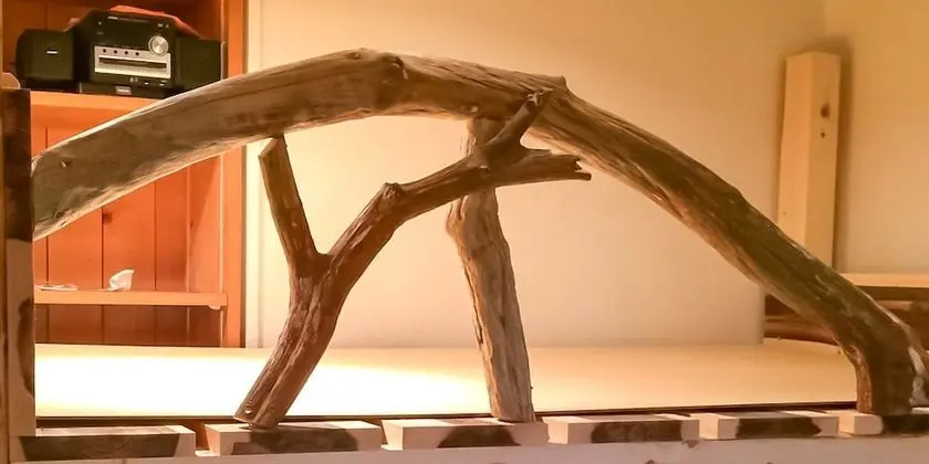 Basic Dört Kişilik Oda, Sadece kadınlar için, Sigara İçilmez (2 Bunk Beds)