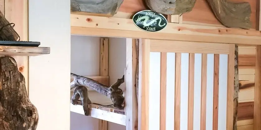 Basic Dört Kişilik Oda, Sadece kadınlar için, Sigara İçilmez (2 Bunk Beds)