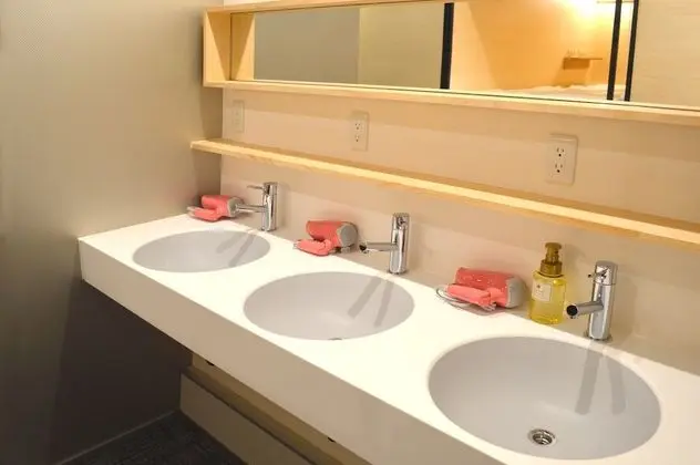 Ortak Ranzalı Oda, Karma Ranzalı Oda (3 hours only, with Shower)