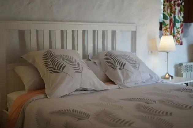 Superior Tek Büyük Yataklı Oda, 1 Büyük (Queen) Boy Yatak