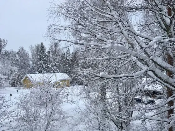 Basic Apart Daire, 3 Yatak Odası