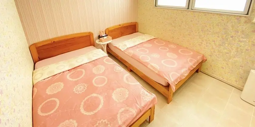 Oda, Birden Çok Yatak, Sigara İçilmez (For 2 people, WiFi)