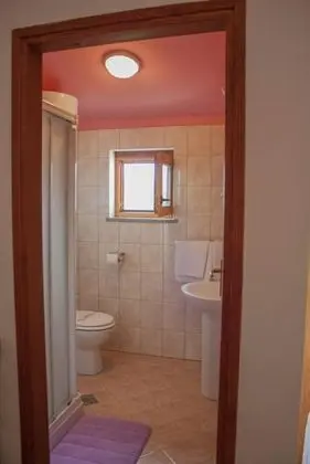 Standard Oda, Üzüm Asması Manzaralı
