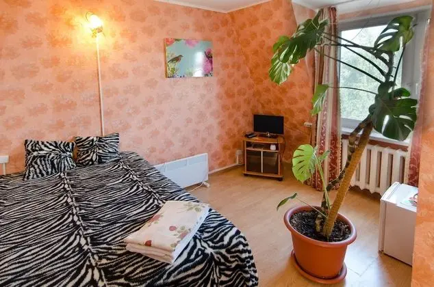 Classic Süit, 1 Çift Kişilik Yatak, Buzdolabı ve Mikrodalga