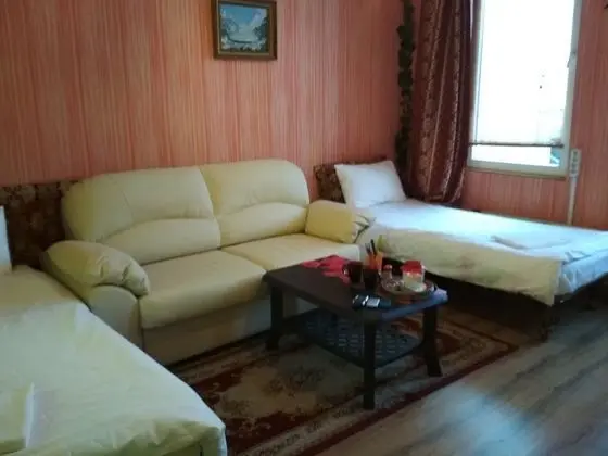 Standard Tek Büyük veya İki Ayrı Yataklı Oda, 2 Tek Kişilik Yatak, Buzdolabı