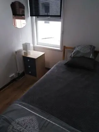 Basic Tek Kişilik Oda, 1 Tek Kişilik Yatak, Avlu Manzaralı