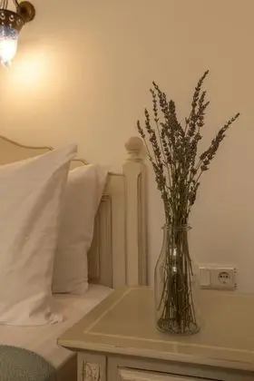Junior Suite, Bahçe Manzaralı, Bahçe Katı