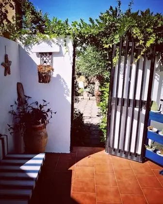 Standard Tek Büyük Yataklı Oda, 1 Çift Kişilik Yatak, Bahçe Manzaralı, Denize Bakan