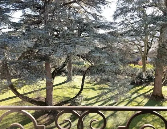 Tek Büyük veya İki Ayrı Yataklı Oda, Banyolu/Duşlu, Bahçe Manzaralı