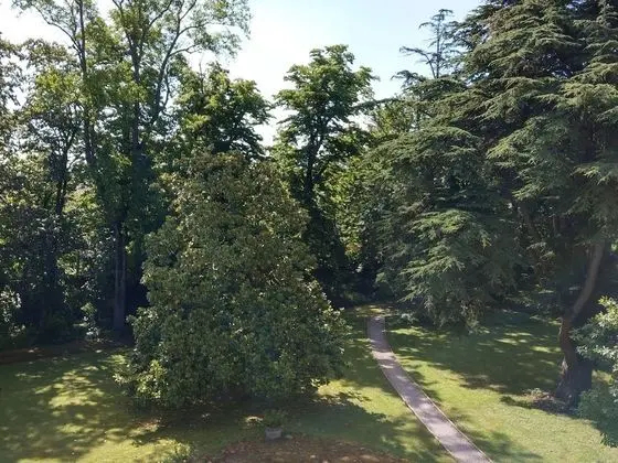 Tek Büyük Yataklı Oda, Banyolu/Duşlu, Park Manzaralı