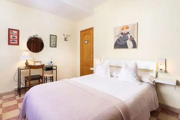 Standard Tek Büyük Yataklı Oda (Violeta)