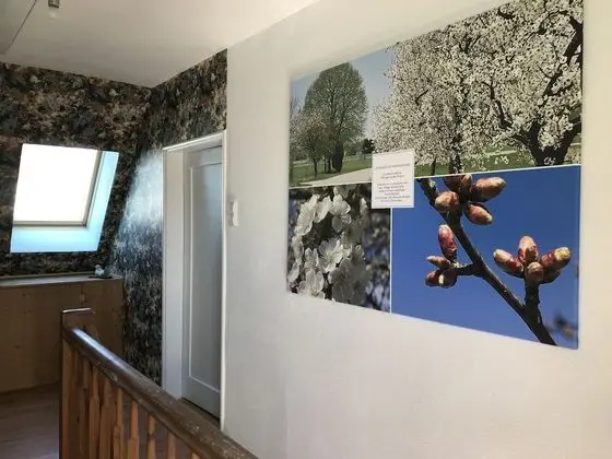 Comfort Ev, 3 Yatak Odası, Sigara İçilmez, Sauna