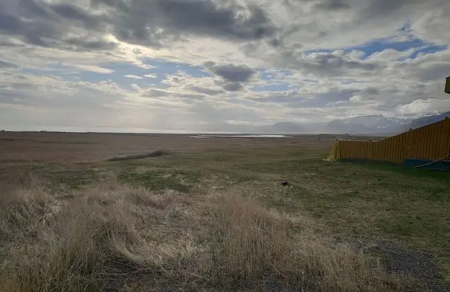 Basic Dört Kişilik Oda, Birden Çok Yatak, Sigara İçilmez, Ortak Banyo