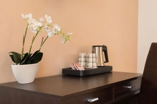 Standard Tek Büyük Yataklı Oda, Şehir Manzaralı