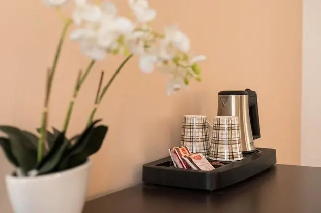 Standard Tek Büyük Yataklı Oda, Şehir Manzaralı