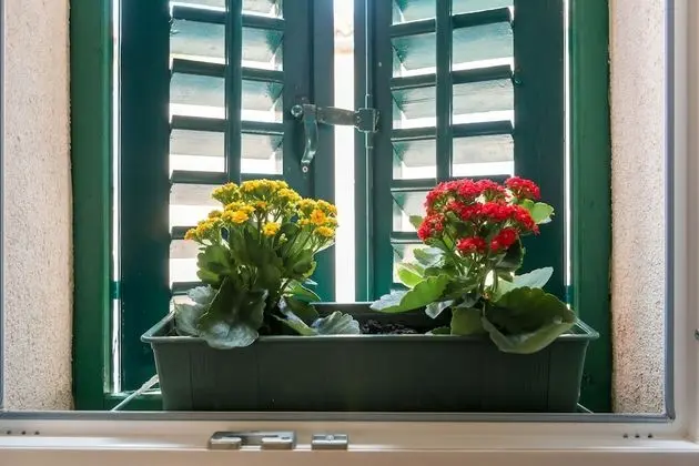 Standard Tek Büyük Yataklı Oda, Şehir Manzaralı