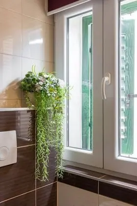 Standard Tek Büyük Yataklı Oda, Şehir Manzaralı