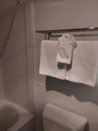 Süit, Birden Çok Yatak, Sigara İçilmez (Efficiency)