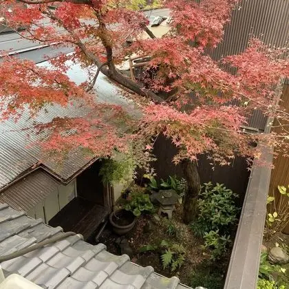 Üç Kişilik Oda, Sigara İçilmez (Japanese Style, Momiji, Wi-Fi)