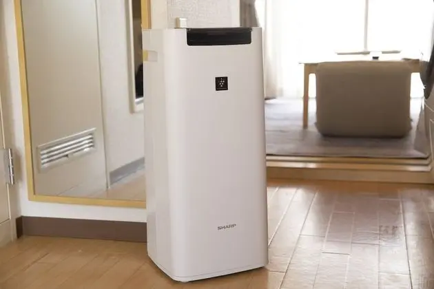Tek Büyük Yataklı Oda, Sigara İçilmez (with Sofa Bed, 105)