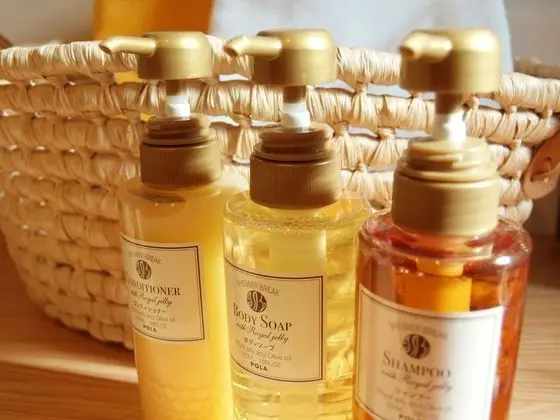 Traditional Oda, Özel Banyo
